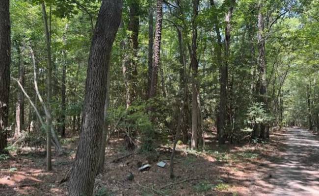 .51+AC Old Ferry Road, Mathews County, VA 23076