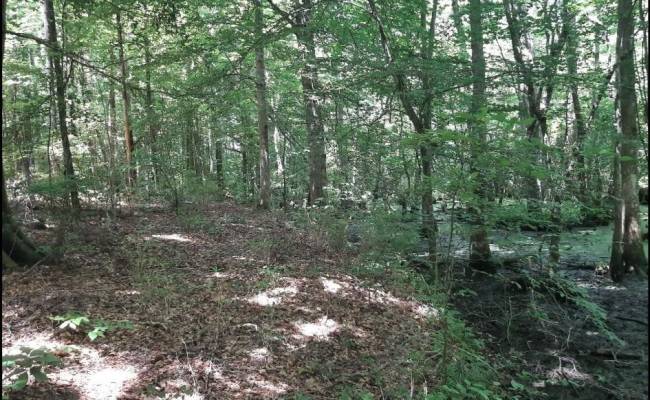6584 Blackwater Road, Virginia Beach, VA 23457