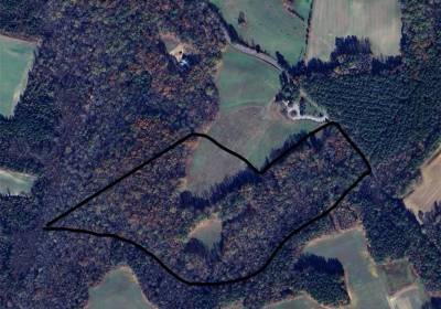 40.9AC White Meadow Road, Southampton County, VA 23827