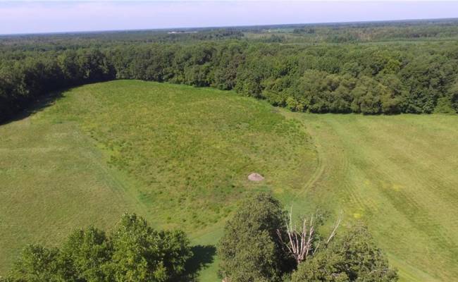 40.9AC White Meadow Road, Southampton County, VA 23827