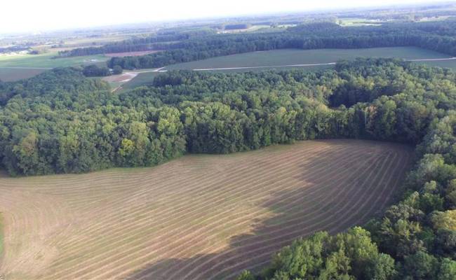 40.9AC White Meadow Road, Southampton County, VA 23827