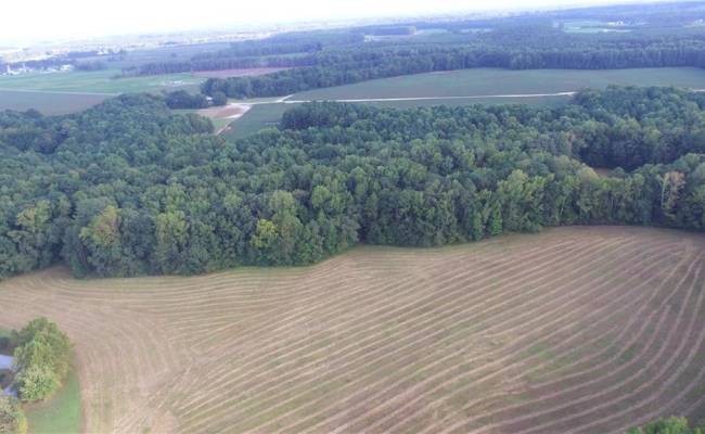 40.9AC White Meadow Road, Southampton County, VA 23827