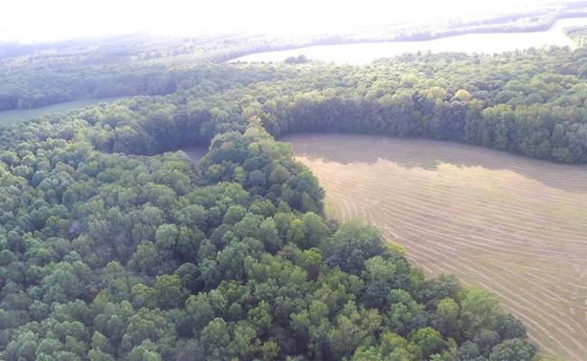 40.9AC White Meadow Road, Southampton County, VA 23827