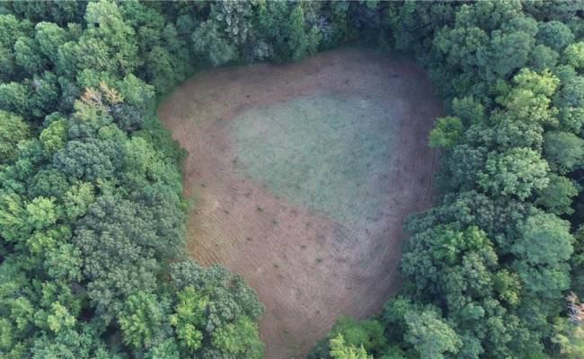 40.9AC White Meadow Road, Southampton County, VA 23827