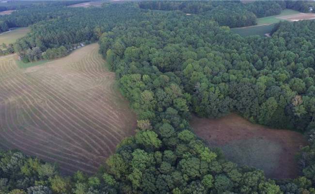 40.9AC White Meadow Road, Southampton County, VA 23827