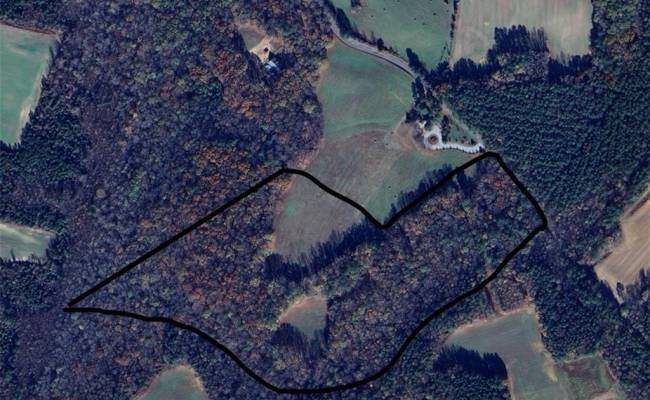 40.9AC White Meadow Road, Southampton County, VA 23827
