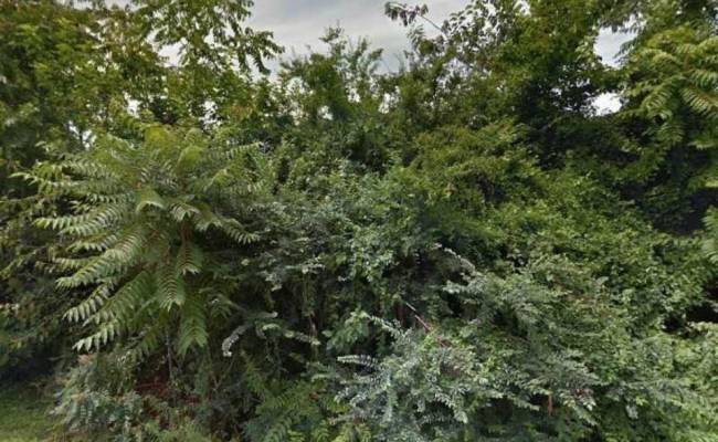 LOT 83 York Street, Suffolk, VA 23435