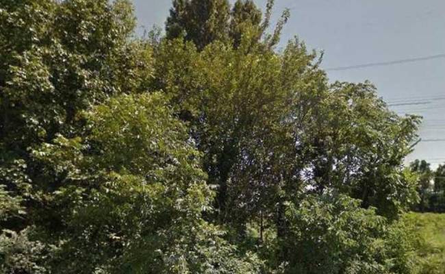 LOT 76 Bidwell Street, Suffolk, VA 23434