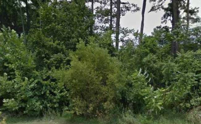 LOT 80 Bute Street, Suffolk, VA 23435