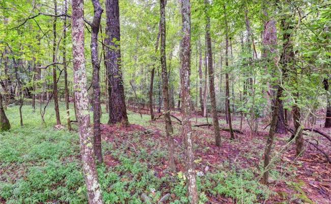200 Jolly Pond Road, James City County, VA 23188