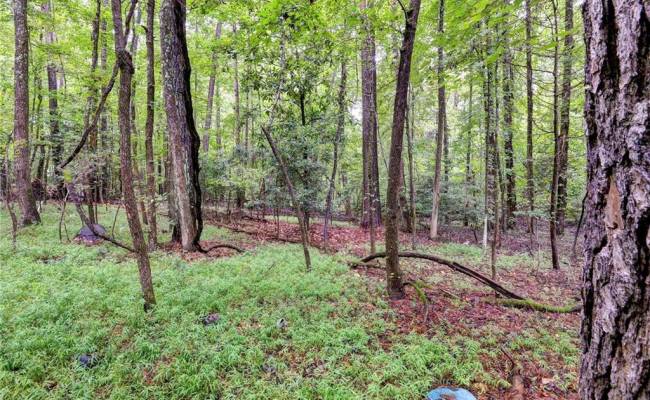 200 Jolly Pond Road, James City County, VA 23188