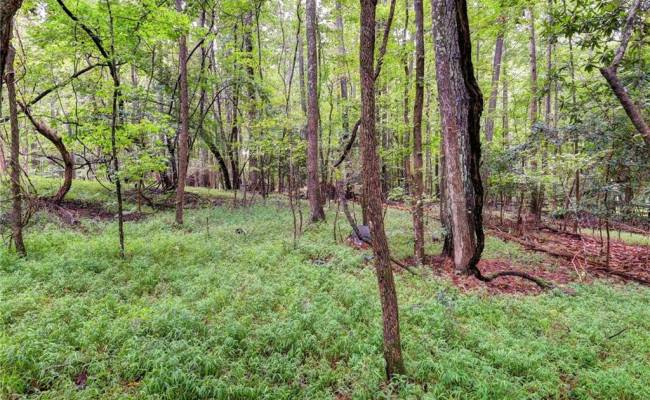 200 Jolly Pond Road, James City County, VA 23188