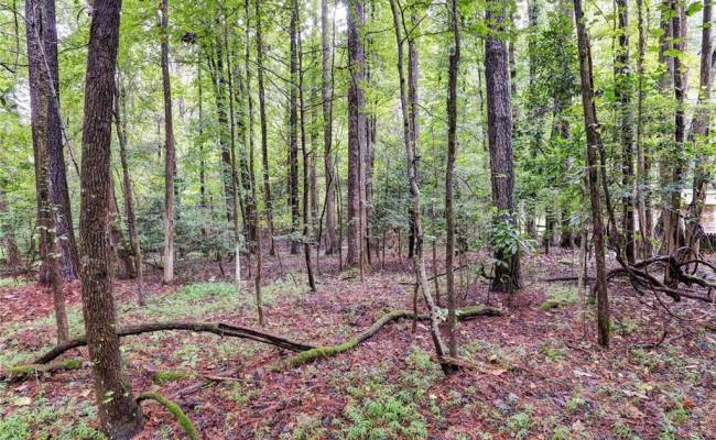 200 Jolly Pond Road, James City County, VA 23188