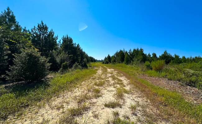 132 Acres Beal Road, Southampton County, VA 23874