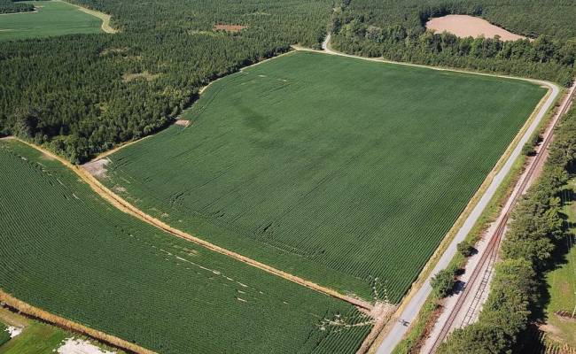 132 Acres Beal Road, Southampton County, VA 23874
