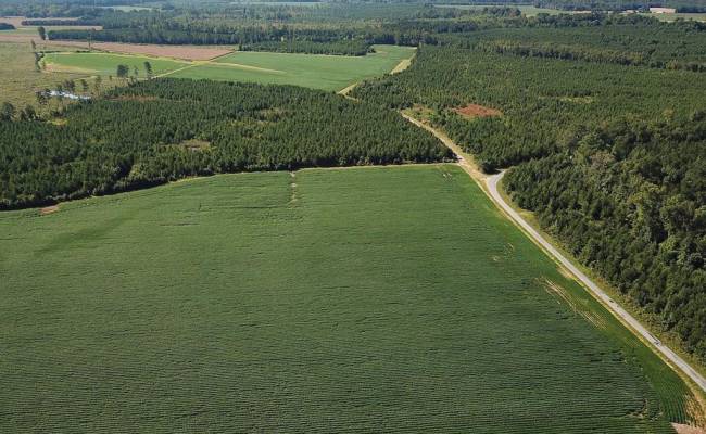 132 Acres Beal Road, Southampton County, VA 23874