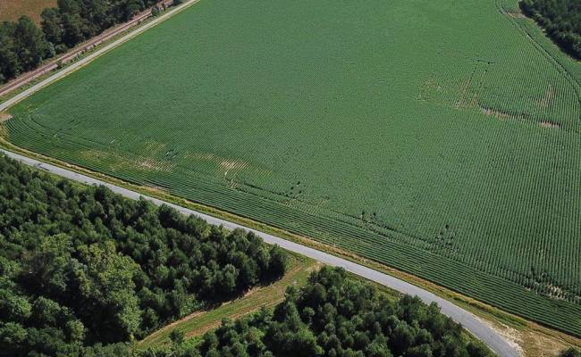 132 Acres Beal Road, Southampton County, VA 23874