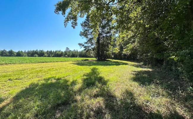 132 Acres Beal Road, Southampton County, VA 23874