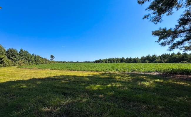 132 Acres Beal Road, Southampton County, VA 23874