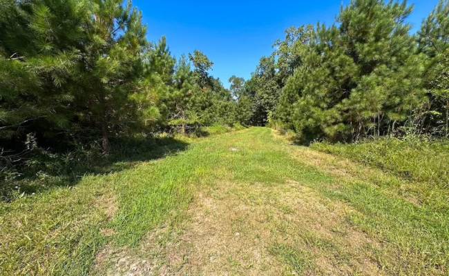 132 Acres Beal Road, Southampton County, VA 23874
