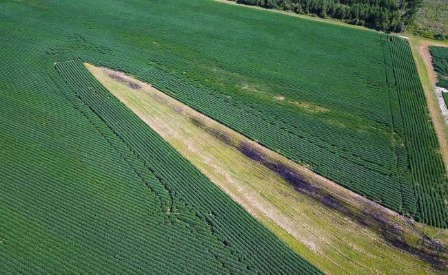 132 Acres Beal Road, Southampton County, VA 23874