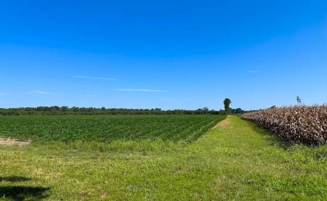 132 Acres Beal Road, Southampton County, VA 23874