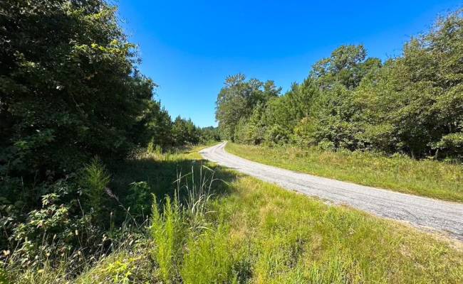 132 Acres Beal Road, Southampton County, VA 23874