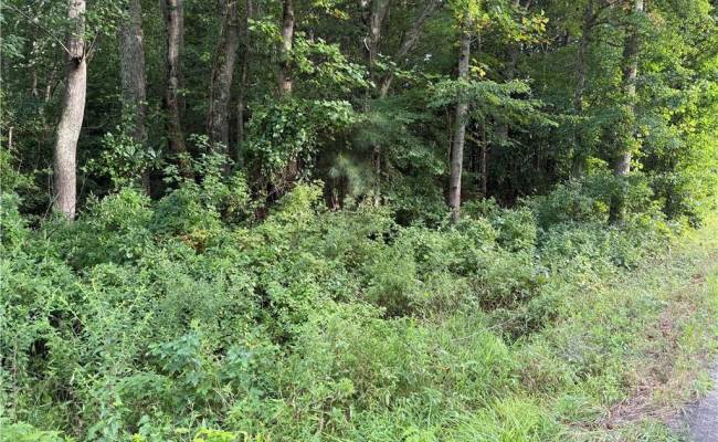 1.00AC Clay Bank Road, Gloucester County, VA 23061