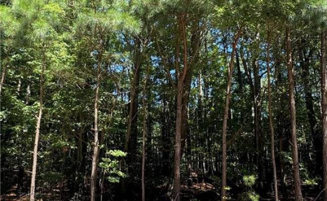 Lot 8 Peaceful Ponds , Northampton County, VA 23398
