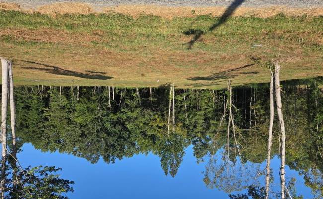 Lot 2 Sandy Hill Road, Sussex County, VA 23837