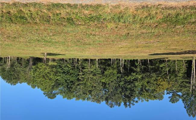 Lot 4 SANDY HILL Road, Sussex County, VA 23837