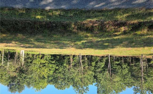 Lot 5 SANDY HILL Road, Sussex County, VA 23837