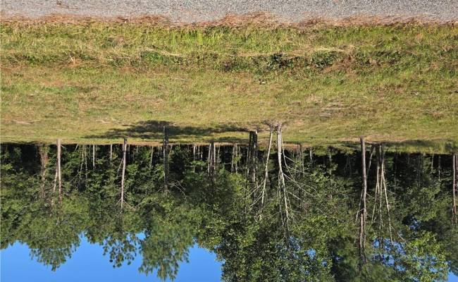 LOT 7 SANDY HILL Road, Sussex County, VA 23837