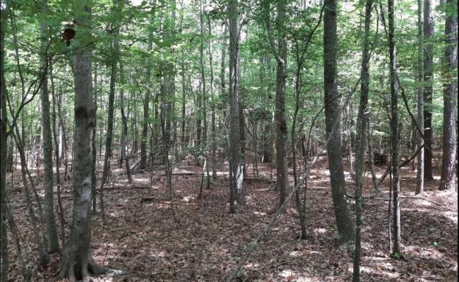 6608 Blackwater Road, Virginia Beach, VA 23457