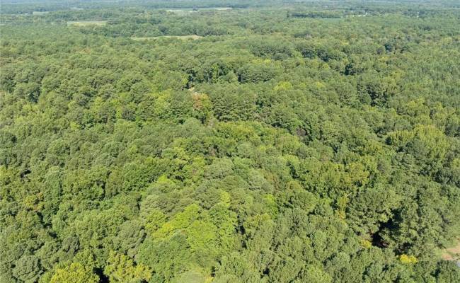 Lot C Track Lane, Isle of Wight County, VA 23430