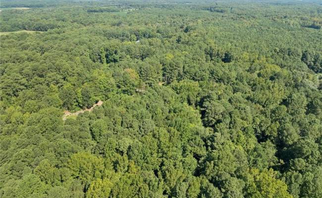 Lot C Track Lane, Isle of Wight County, VA 23430