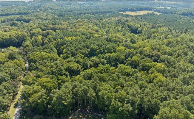 Lot C Track Lane, Isle of Wight County, VA 23430
