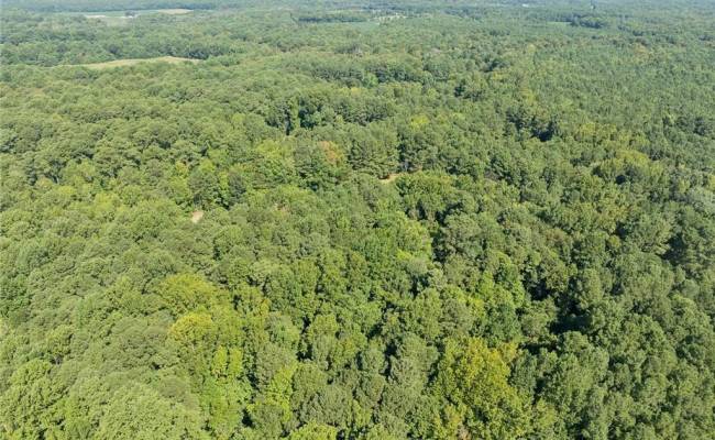 Lot C Track Lane, Isle of Wight County, VA 23430