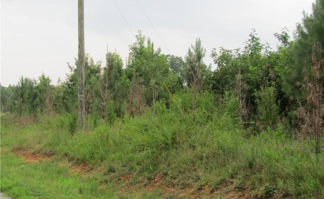 18acs Lewis Drive, Brunswick County, VA 23847