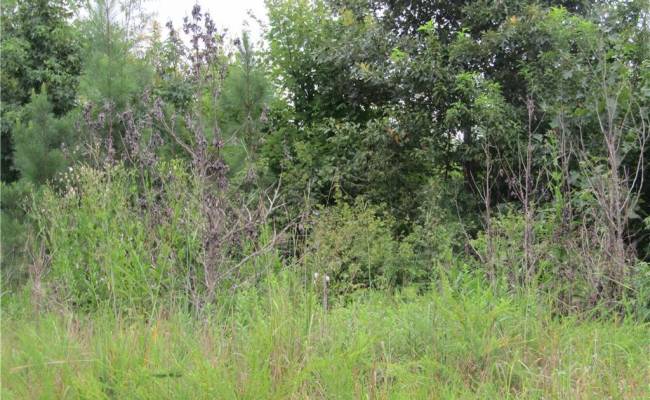 18acs Lewis Drive, Brunswick County, VA 23847