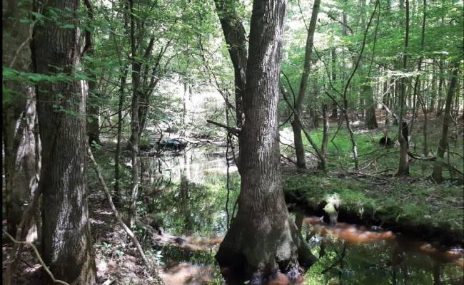 6628 Blackwater Road, Virginia Beach, VA 23457