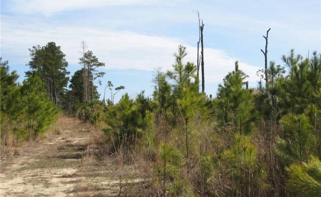 4161 Caratoke Highway, Currituck County, NC 27917