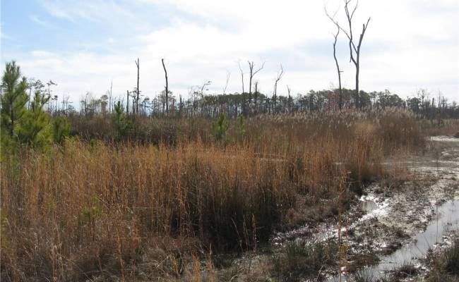 4161 Caratoke Highway, Currituck County, NC 27917