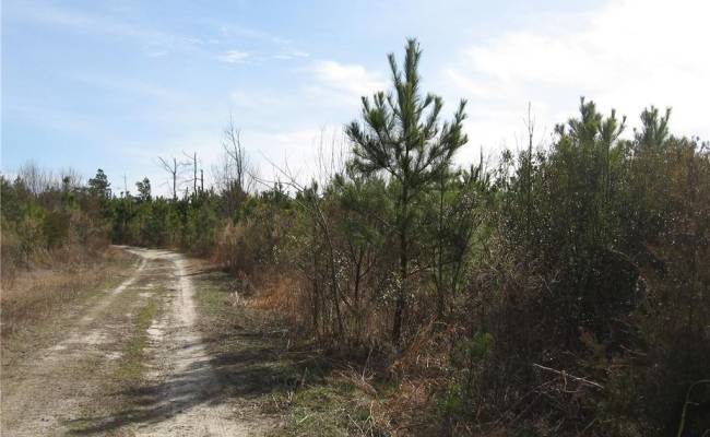 4161 Caratoke Highway, Currituck County, NC 27917