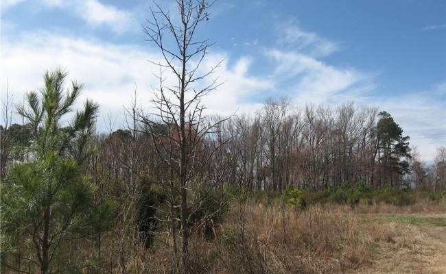 4161 Caratoke Highway, Currituck County, NC 27917