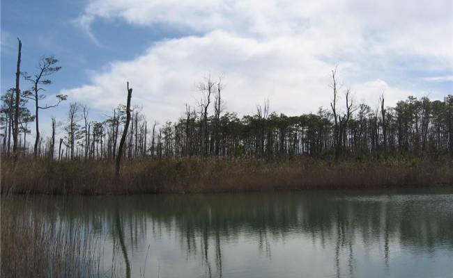 4161 Caratoke Highway, Currituck County, NC 27917