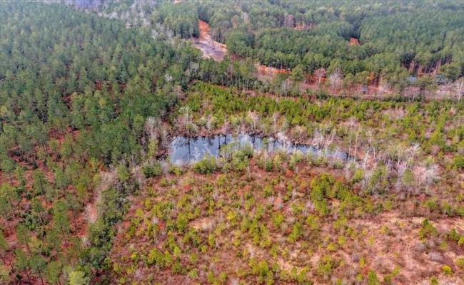 0 Batt Road, Gloucester County, VA 23149