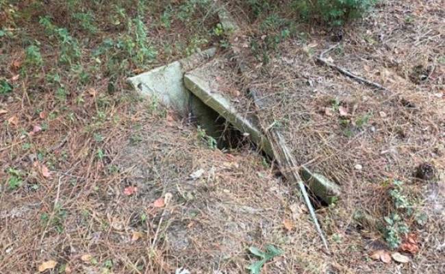 4172 West Drive, Northampton County, VA 23310