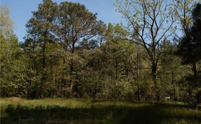 2048 Twiggs Ferry Road, Middlesex County, VA 23071