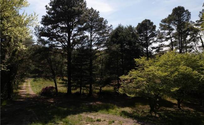 2048 Twiggs Ferry Road, Middlesex County, VA 23071